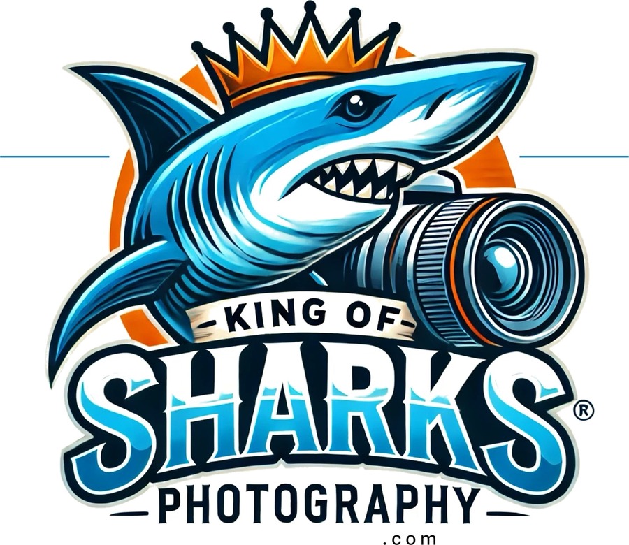 King of Sharks Photography